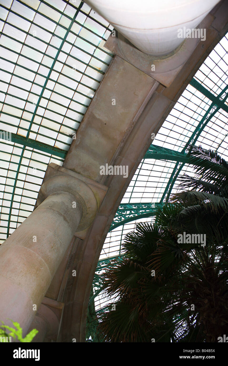 L'intérieur de l'hiver, les Serres Royales de Laeken, Bruxelles, Belgique, - l'architecte Alphonse Balat Banque D'Images