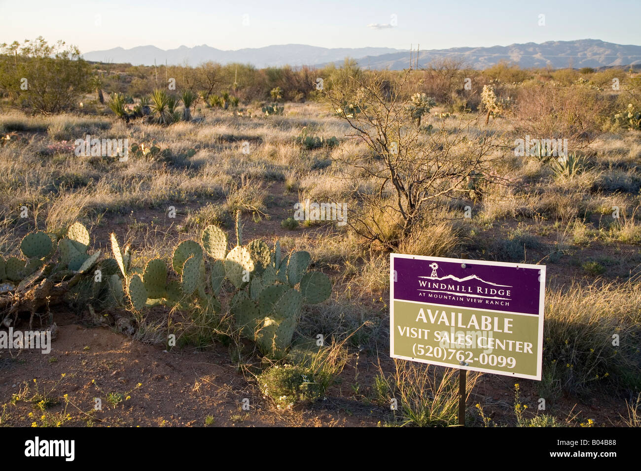 Sur la montagne Arizona beaucoup dans un nouveau lotissement de sont mis en vente dans le désert juste à l'est de Tucson Banque D'Images