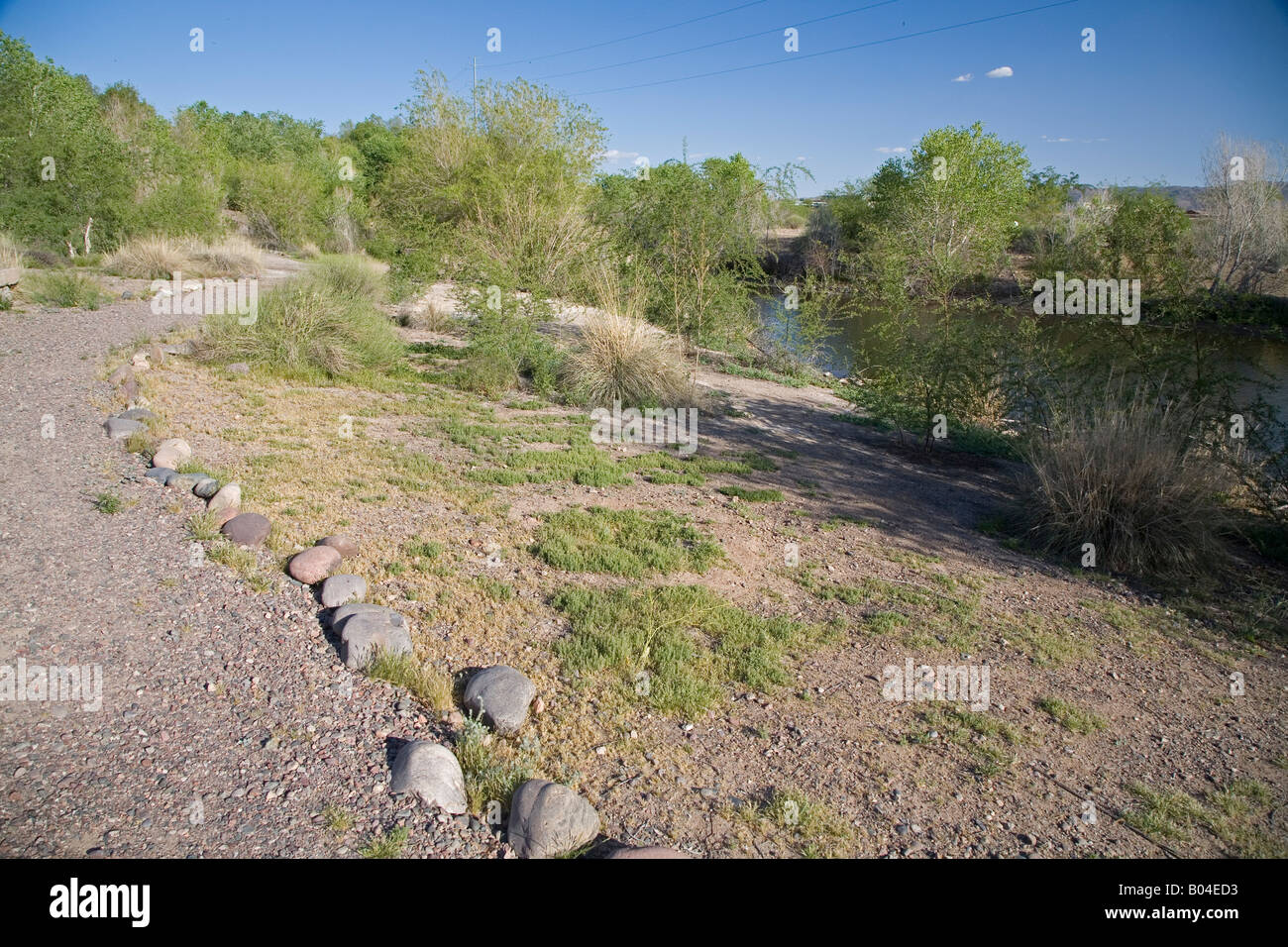 Restauration de l'habitat de la Rivière Salée à Phoenix Banque D'Images