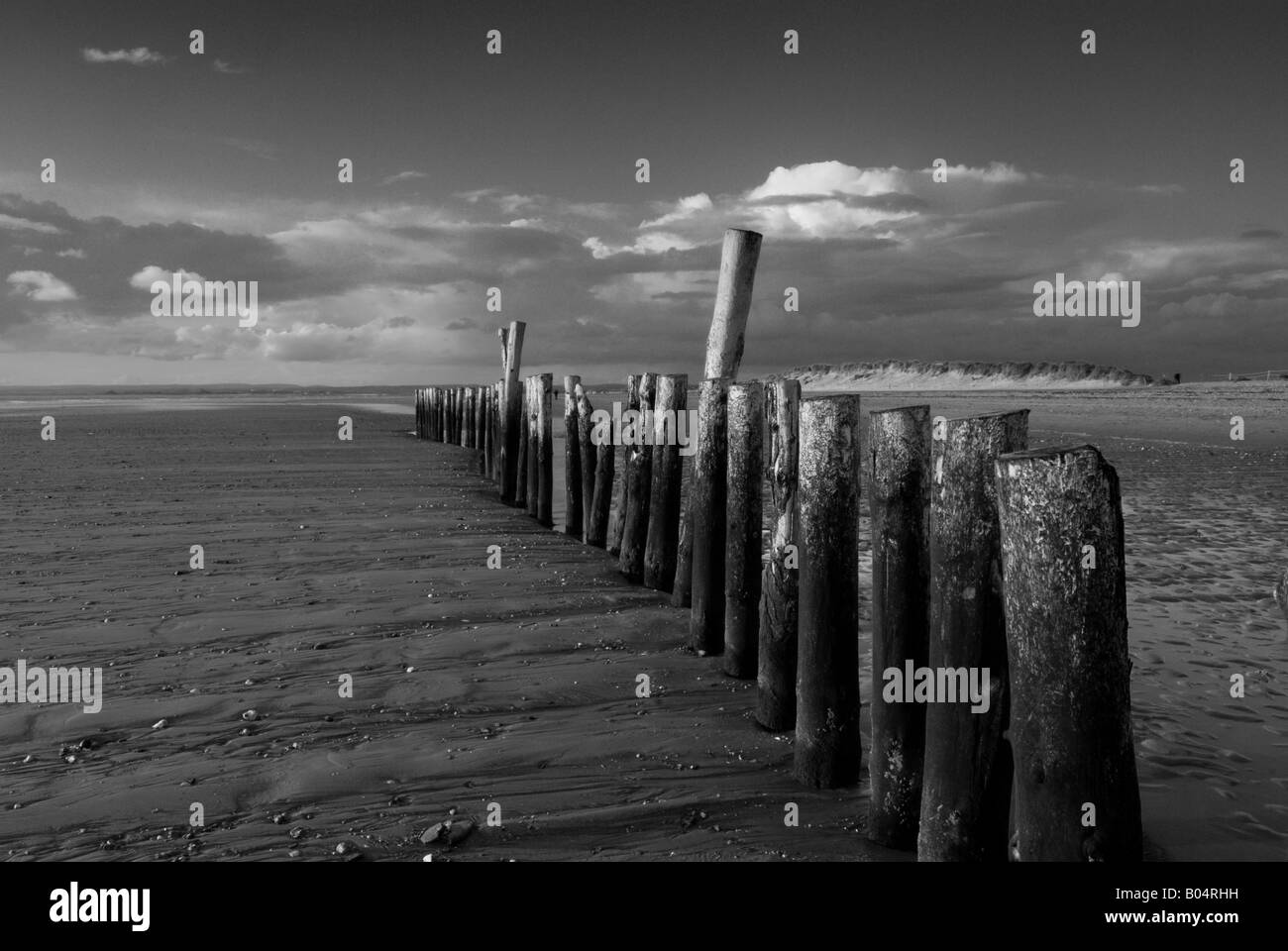 Une ligne de vieux postes de brise-lames sur la plage d'East West Wittering tête Banque D'Images