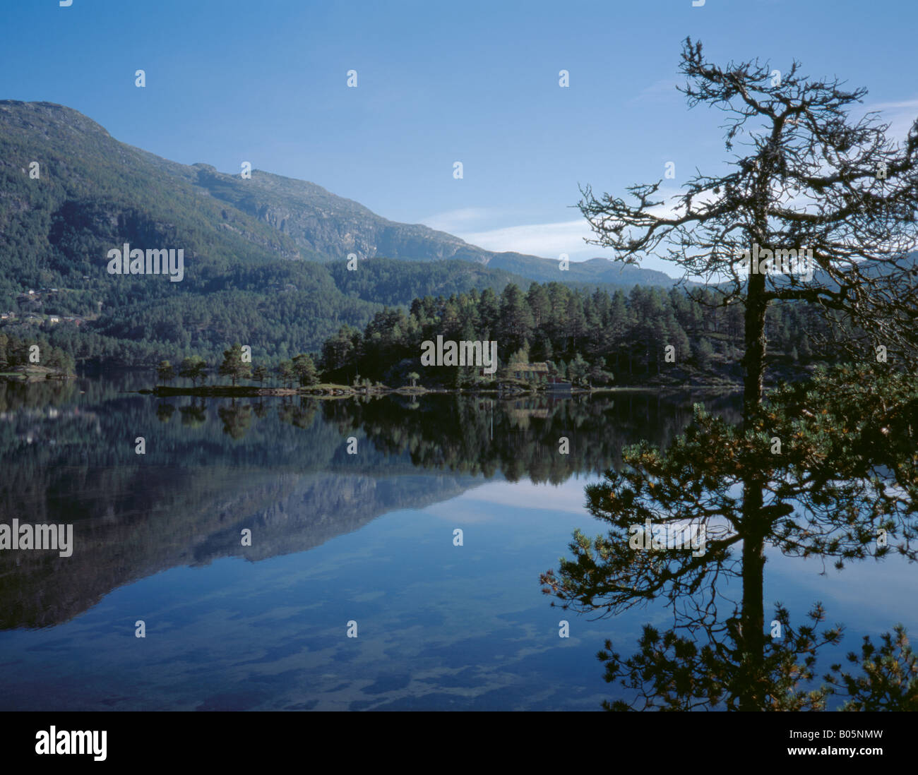 Dans Låtevatnet réflexions comme miroir, au-dessus de Låtefossen cascade, au sud d'Odda, Hordaland, Norvège. Banque D'Images