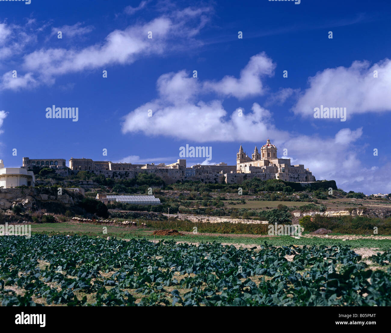 Vue sur la ville, la cathédrale St Peter Paul, Mdina, Malte Banque D'Images