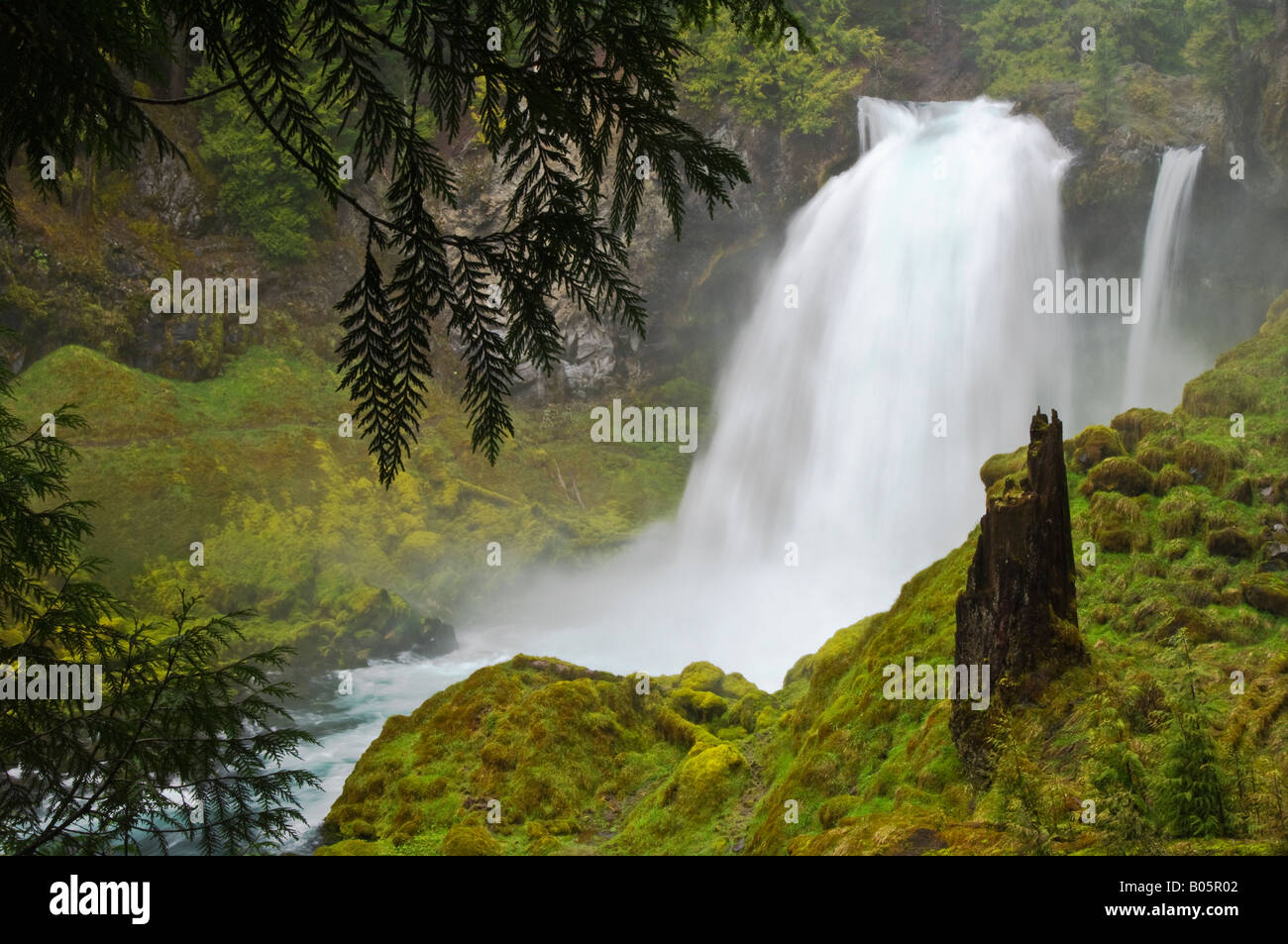 Sahalie Falls sur la rivière McKenzie Forêt nationale de Willamette des Cascades en Oregon Banque D'Images