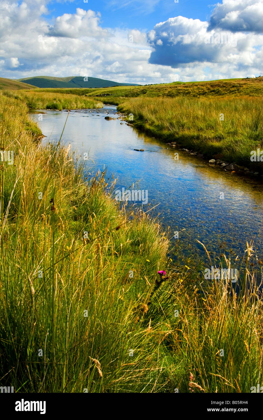 L'eau près de Elvan Leadhills dans South Lanarkshire Banque D'Images