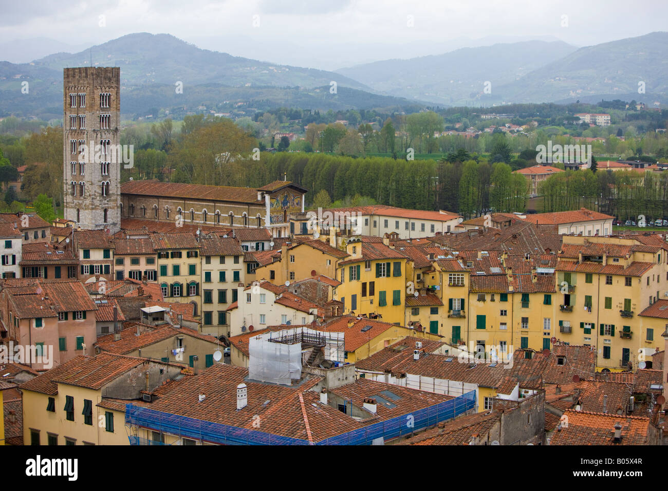 Voir à partir de la Torre Guinigi (tour) de la Basilique de San Frediano avec son campanile et sur les toits de la ville de Lucca Banque D'Images