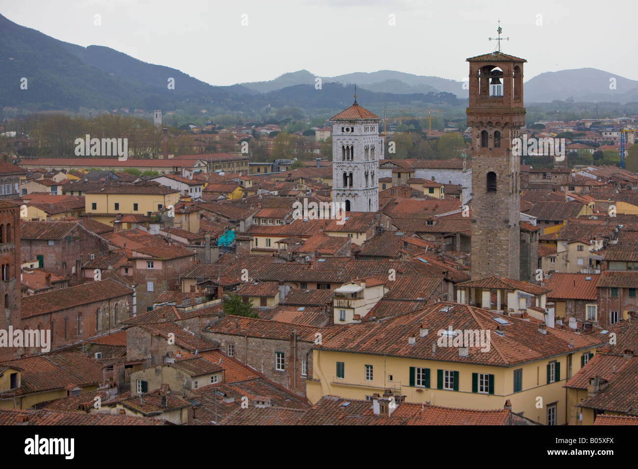 Voir à partir de la Torre Guinigi de Torre della Ore blanc le campanile de San Michele in Foro et sur les toits de la ville de Lucca Banque D'Images