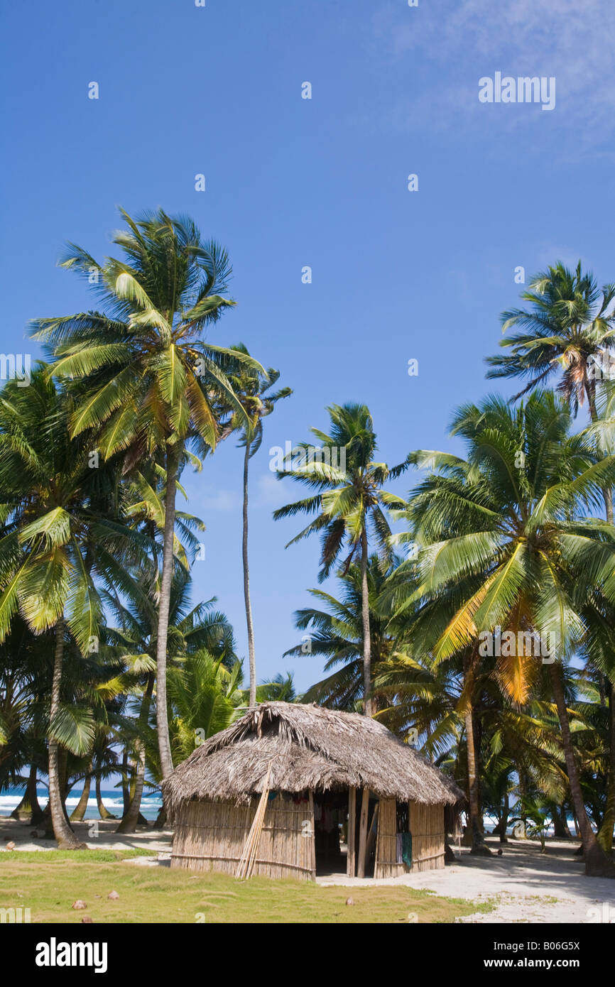 Panama, Comarca de Kuna Yala, îles San Blas, accueil de chaume d'Indiens Kunas sur Green Island Banque D'Images