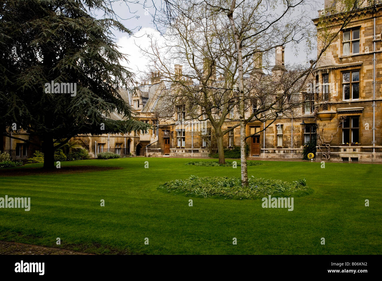 Partie de la Quad connu comme l'arbre Cour à Gonville et Caius College, Université de Cambridge, Cambridge, England, UK Banque D'Images