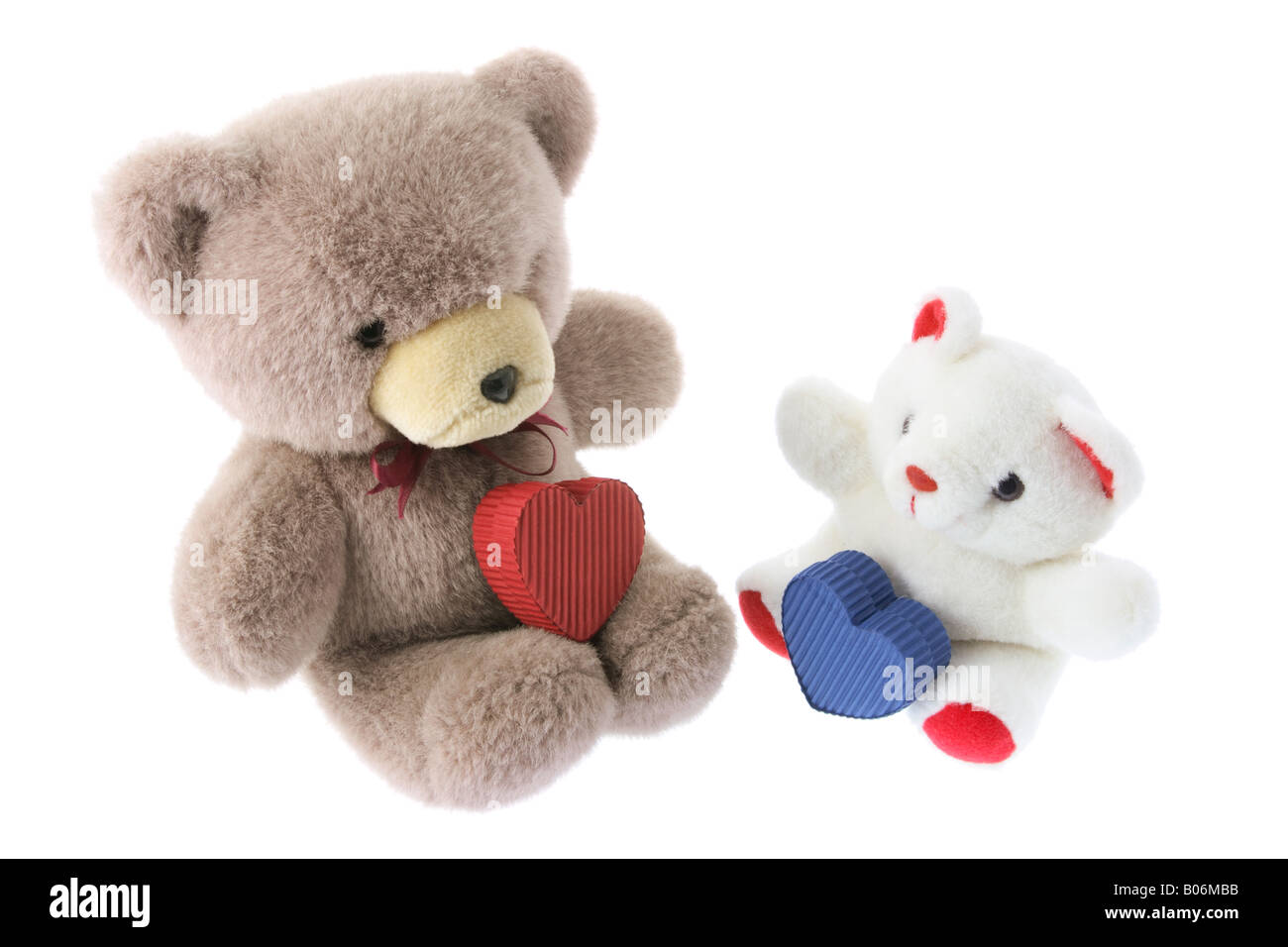 Nounours avec les coffrets cadeaux Banque D'Images