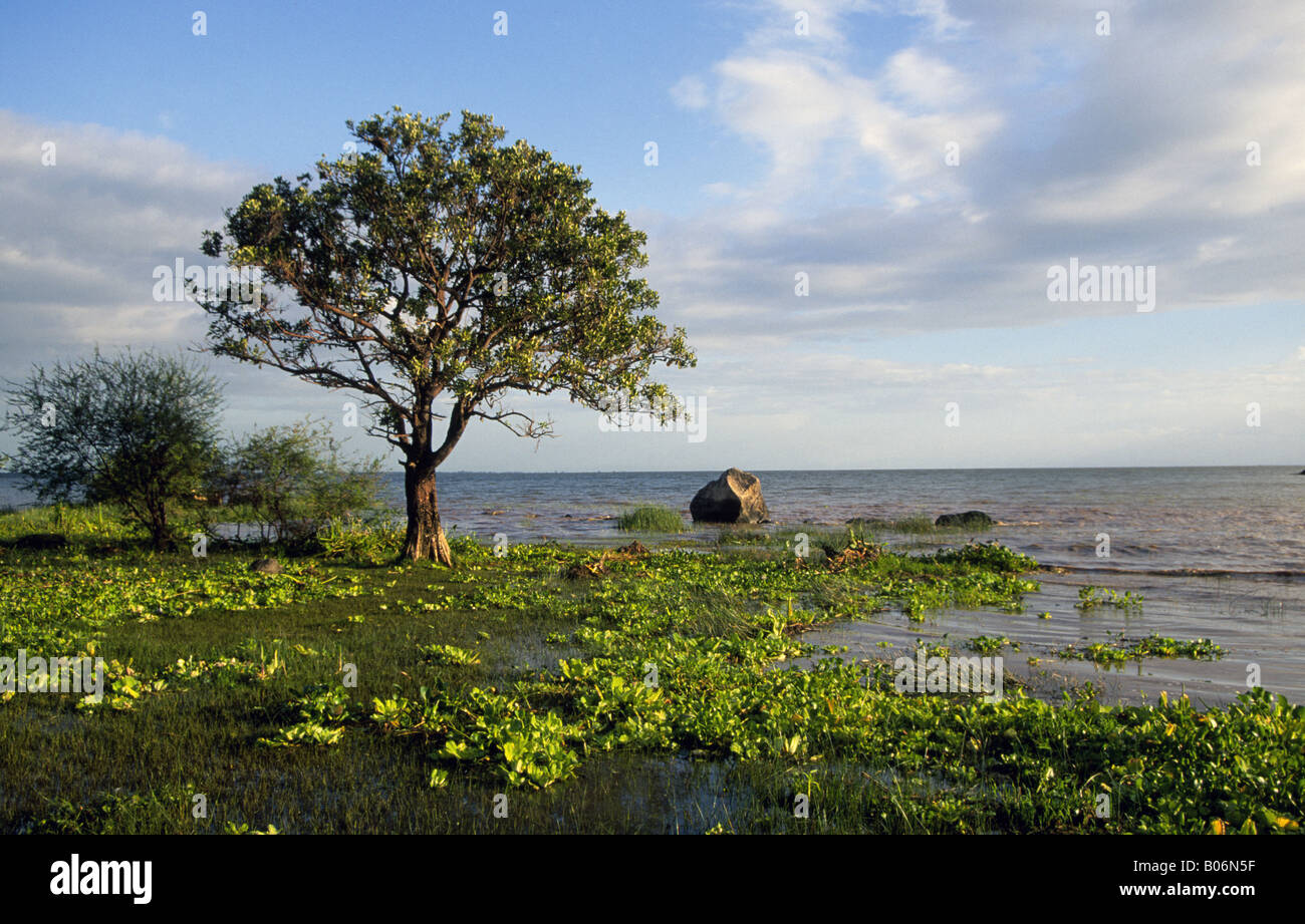 Une vue de la côte de l'énorme lac Nicaragua dans la ville coloniale de Granada, Nicaragua. Banque D'Images