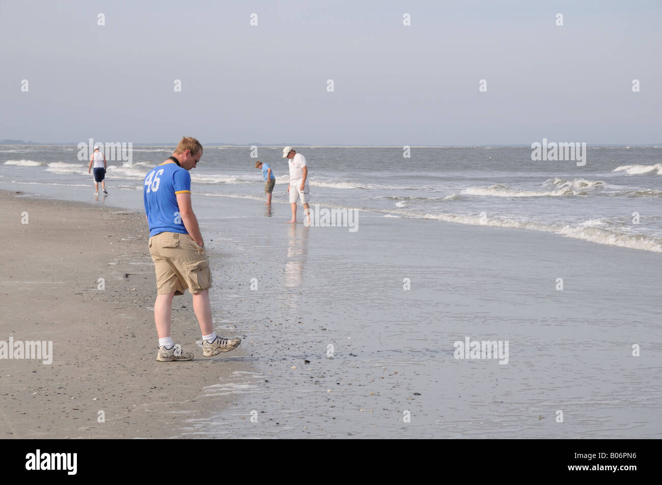 Le peigne d'asile Shell plage à marée basse à l'île de chasse, Caroline du Sud, USA. Banque D'Images