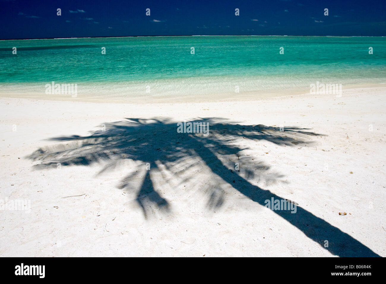 Palmier Ihuru Maldives beach Banque D'Images