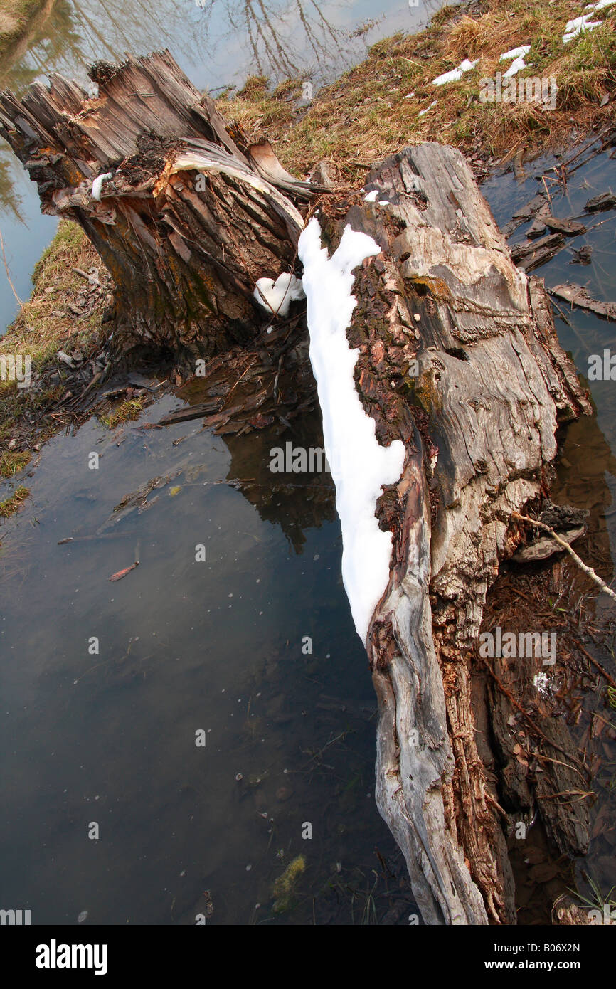 L'eau de l'inondation dans la région de Fish Creek Provincial Park, Calgary, Alberta Banque D'Images