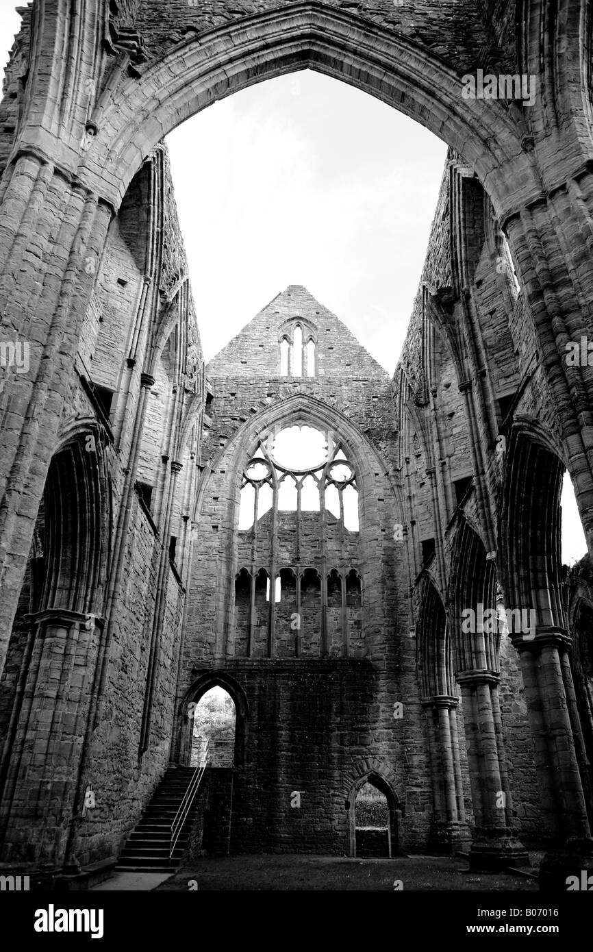 Abbaye de Tintern, au Pays de Galles Banque D'Images