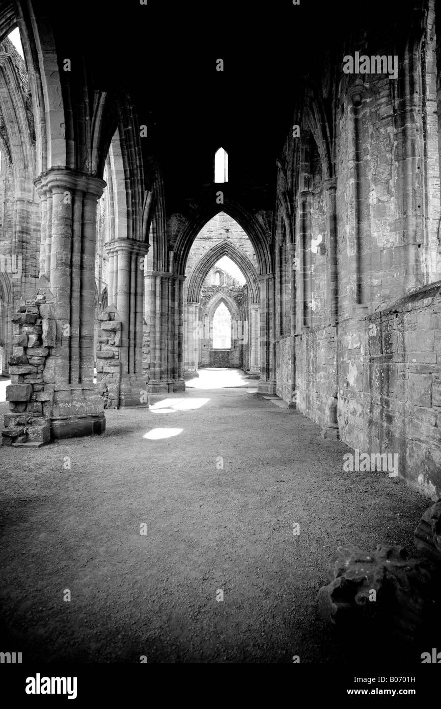 Abbaye de Tintern, au Pays de Galles Banque D'Images