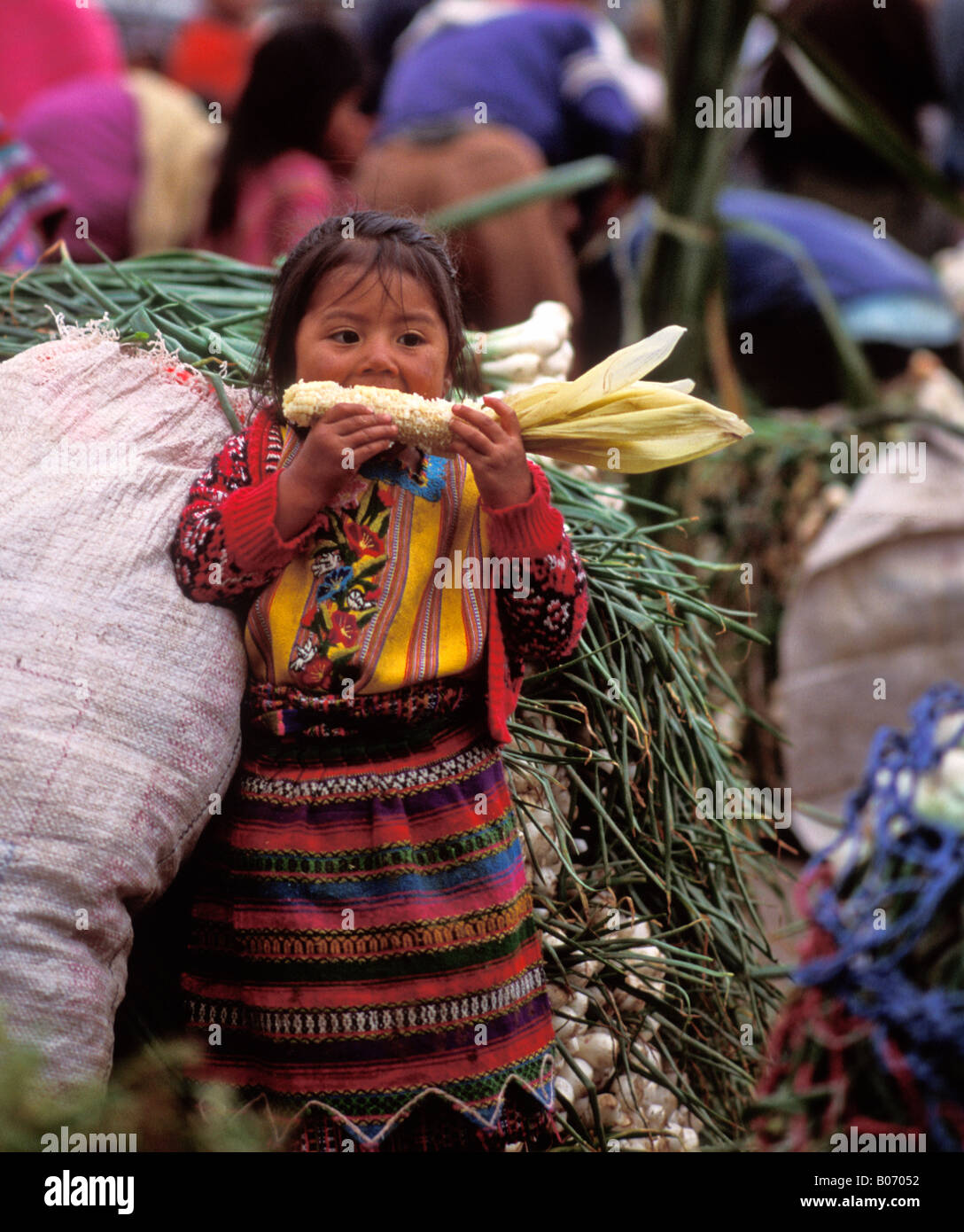 Mayan girl eating corn au marché de Zunil Guatemala Banque D'Images