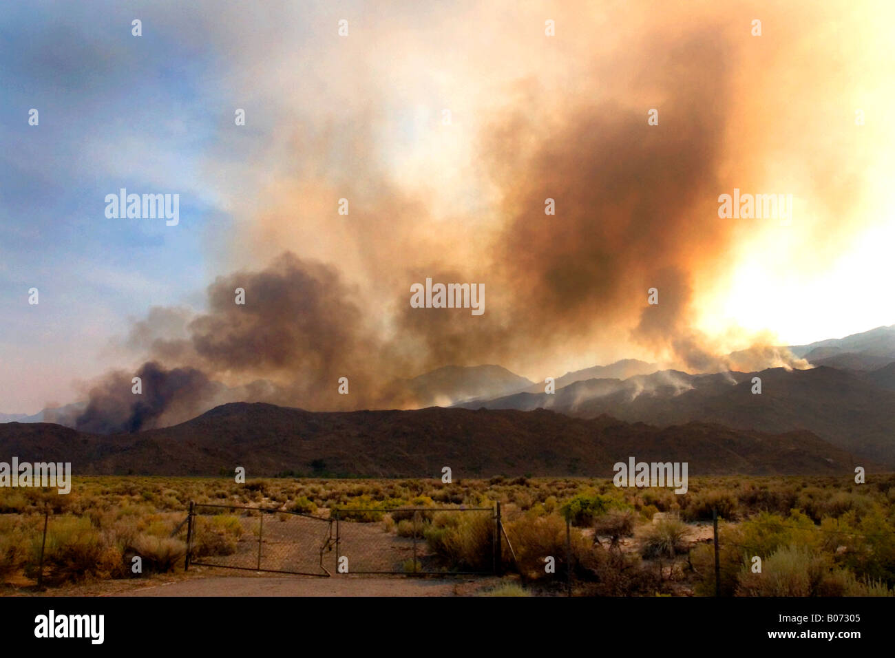 Un énorme feu de forêt près de l'autoroute 395 et Big Pine sur le côté est de la Sierra Nevada Mts. Juillet 2007 Banque D'Images