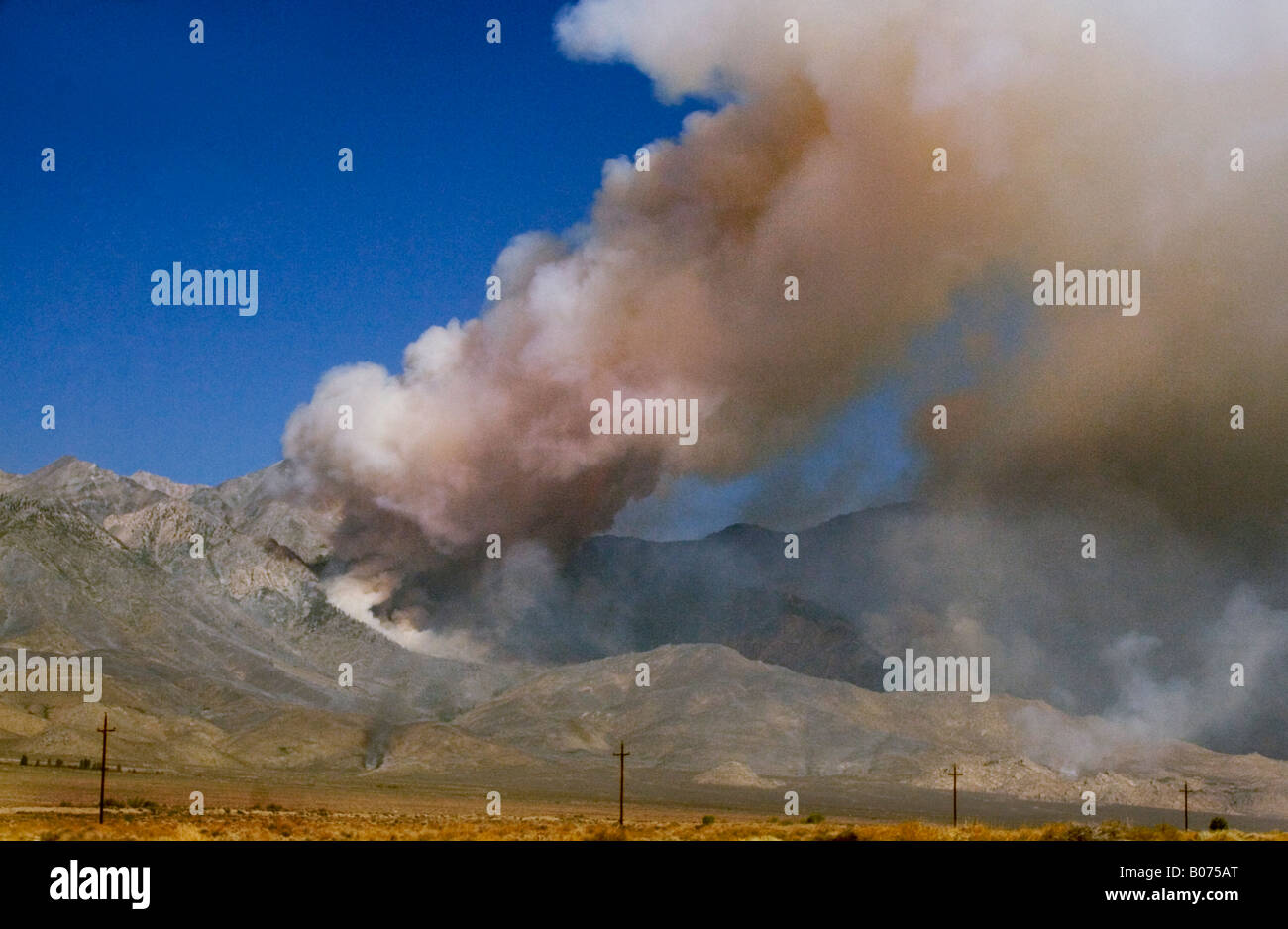Un énorme feu de forêt près de l'autoroute 395 gravure sur le côté est de la Sierra Nevada Mts. Juillet 2007 Banque D'Images
