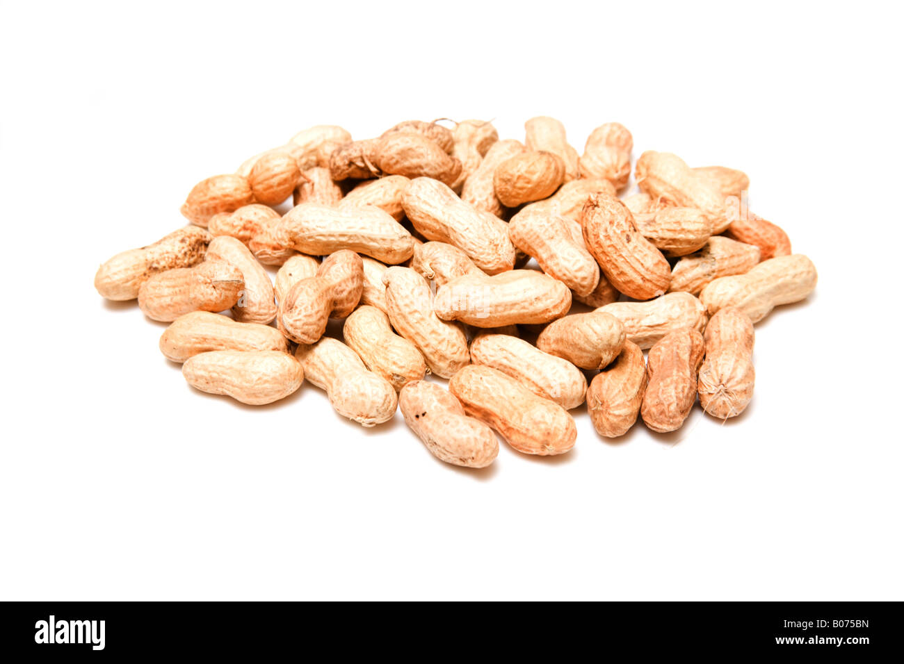 Les écrous de singe ou les arachides isolated on a white background studio. Banque D'Images