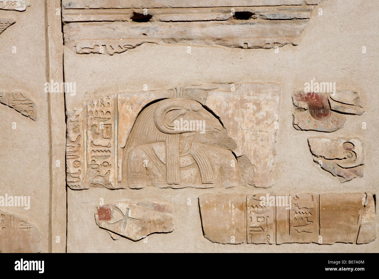 Relief sur mur mur du temple dans les ruines de Yebu, l'île Eléphantine, Assouan, Egypte Banque D'Images