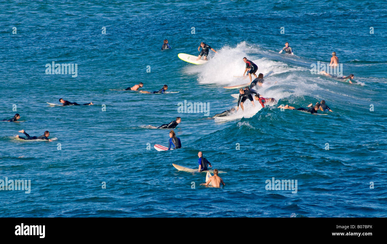Surfeurs à Bondi Beach Sydney Australie // SYDNEY, Australie — surfeurs en attente d'une vague à Bondi Beach, Sydney, Nouvelle-Galles du Sud, Australie Banque D'Images
