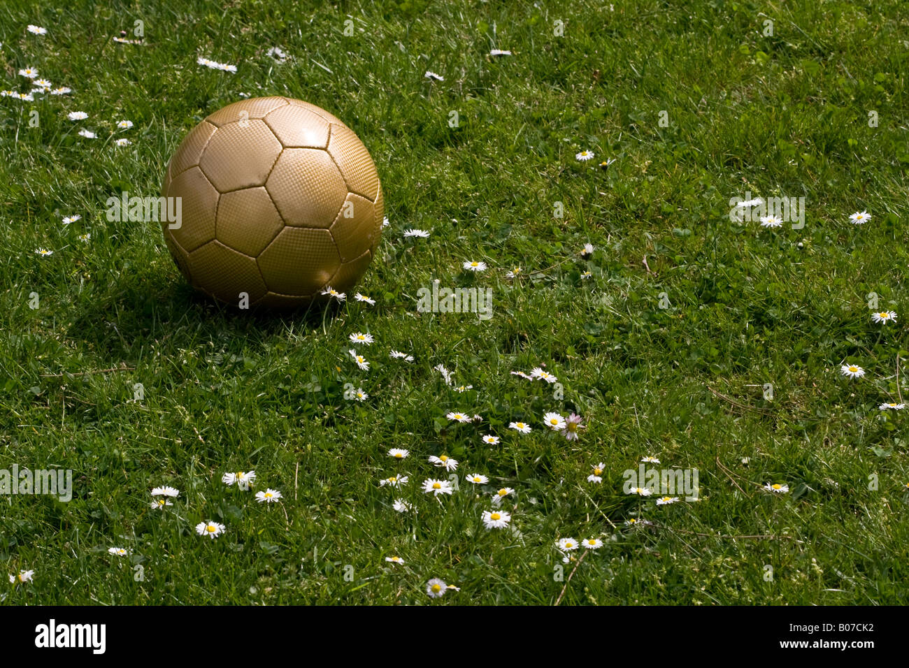 Une couleur or ballon de soccer sur le gazon couvert de fleurs Banque D'Images