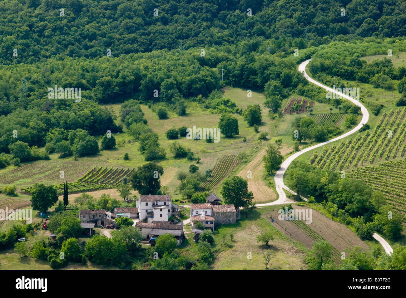 La Croatie, Istrie, Motovun, paysage environnant Banque D'Images