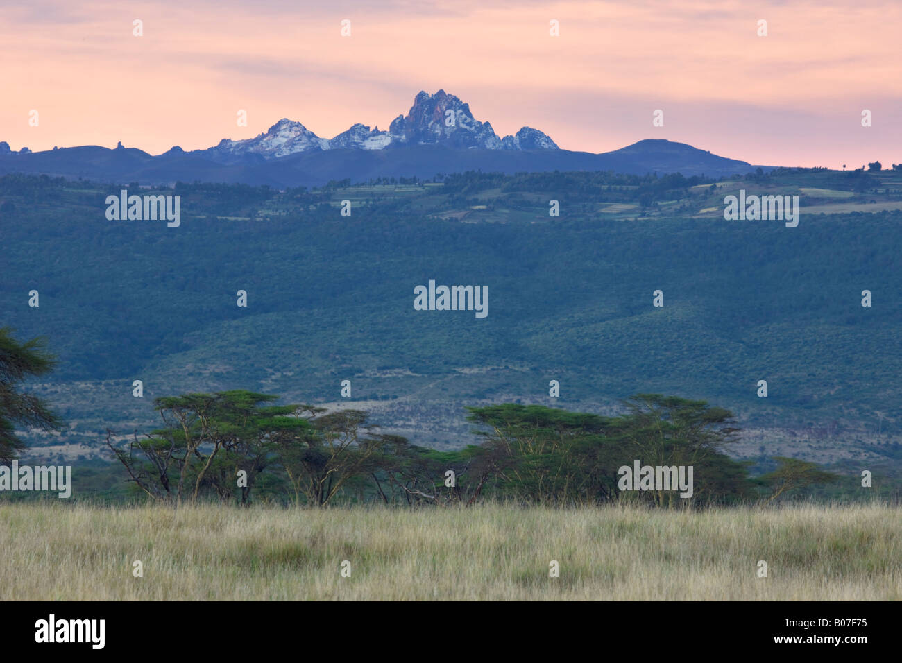 Mt. Kenya, Lewa Wildlife Conservancy, Kenya Banque D'Images