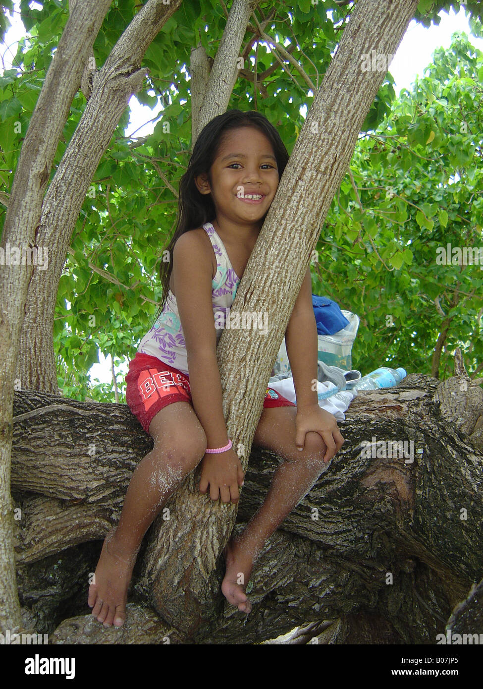 Fille polynésienne dans l'arbre Banque D'Images