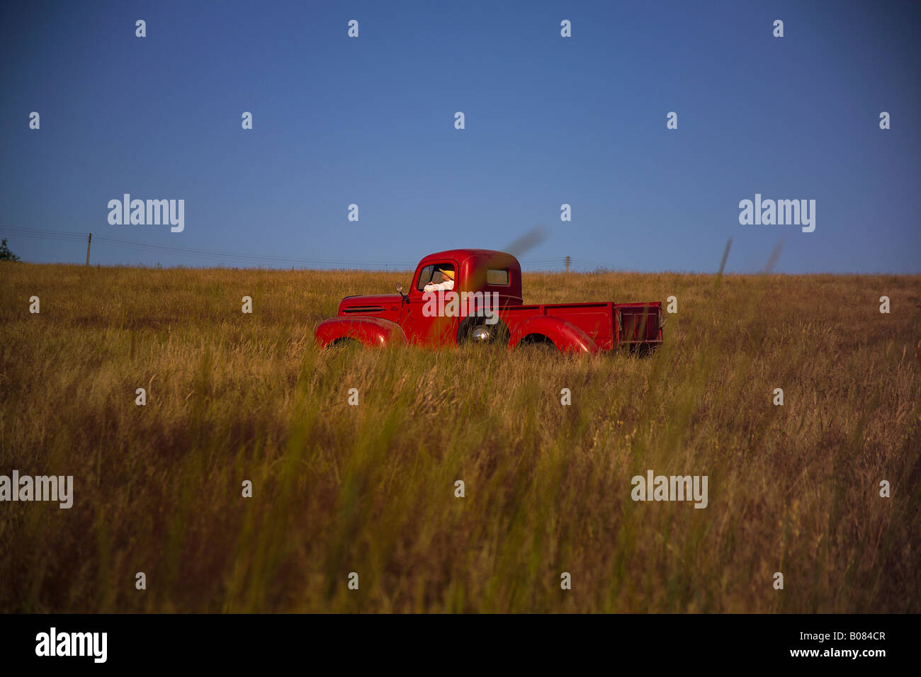 Une vieille Ford rouge américaine pick-up camion conduit à travers un champ avec ciel bleu Banque D'Images