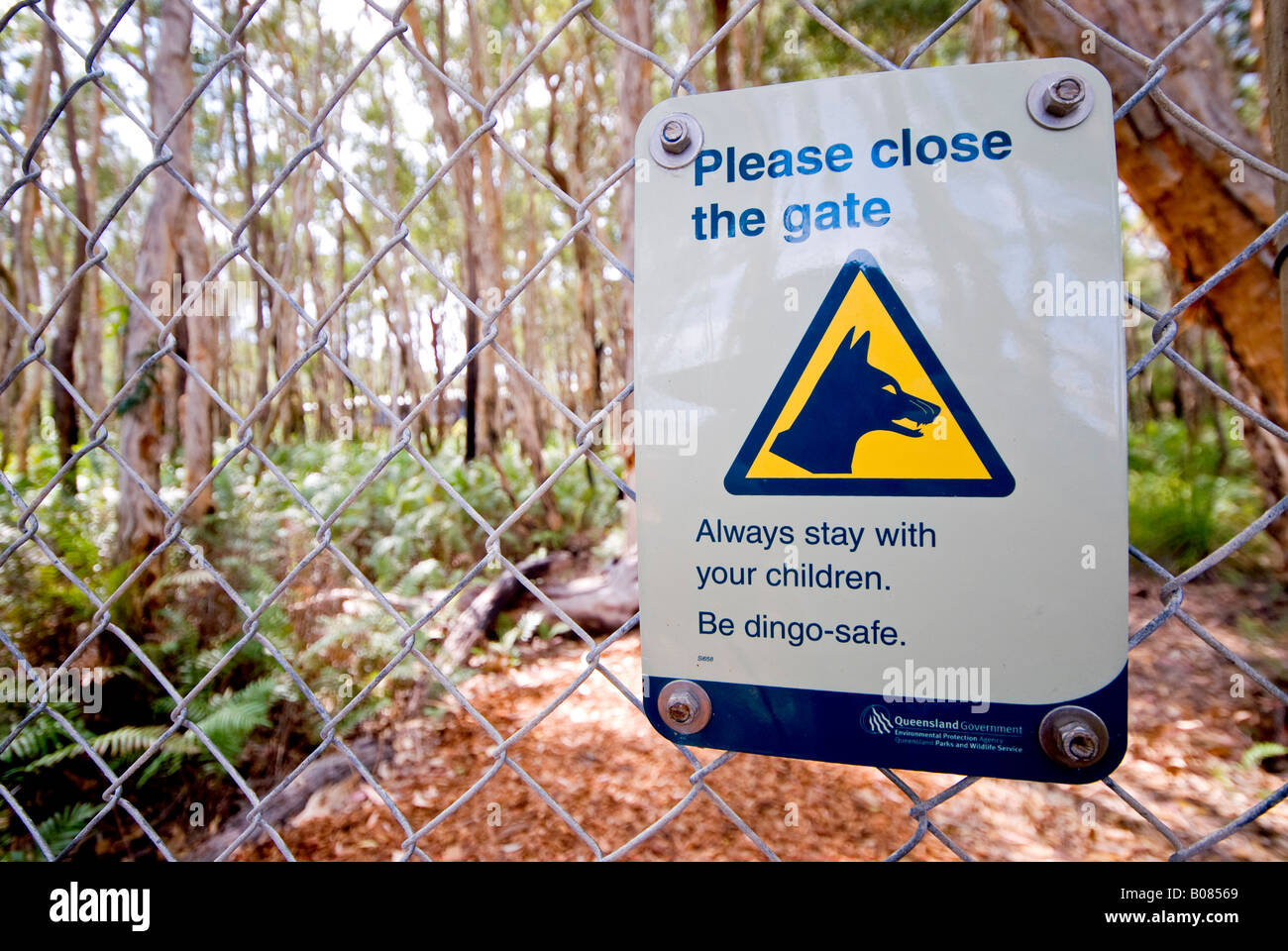 Panneau d'avertissement Dingo Kingfisher Bay Resort Queensland Australie | FRASER ISLAND, Queensland, Australie — Un panneau d'avertissement du gouvernement du Queensland à Kingfisher Bay Resort exhorte les visiteurs à fermer les portes, à surveiller les enfants et à « être en sécurité pour les dinosaures ». Fraser Island abrite l'une des populations de dingo sauvages les plus pures génétiquement qui subsistent dans l'est de l'Australie. Banque D'Images