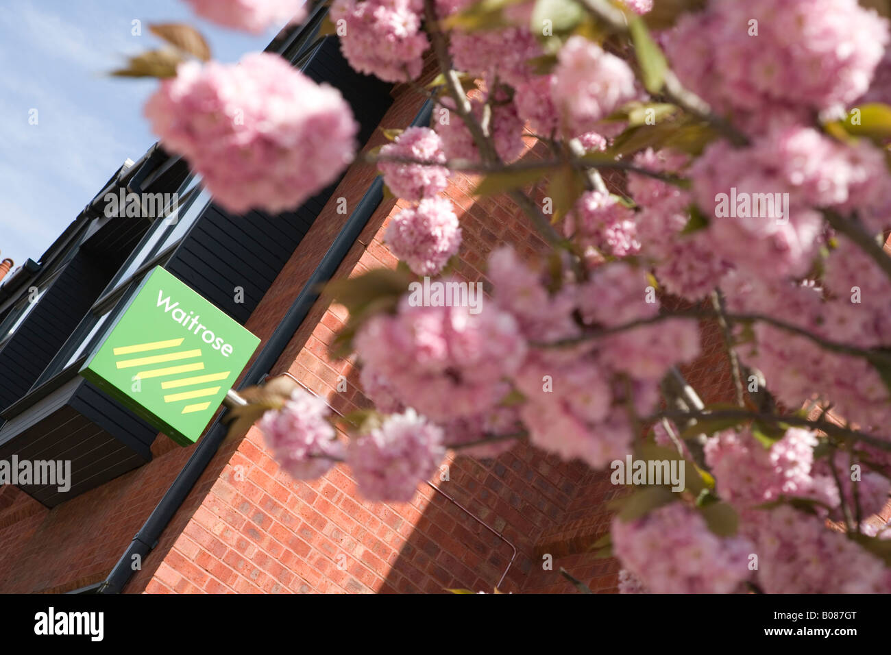 Waitrose signer et logo dans la banlieue de London Street Banque D'Images