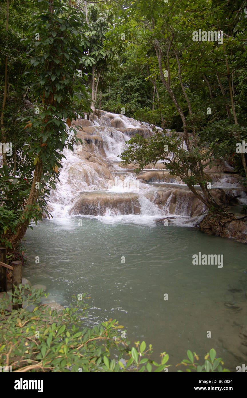 Dunns River Falls, Ocho Rios, St.Ann, Jamaïque Banque D'Images