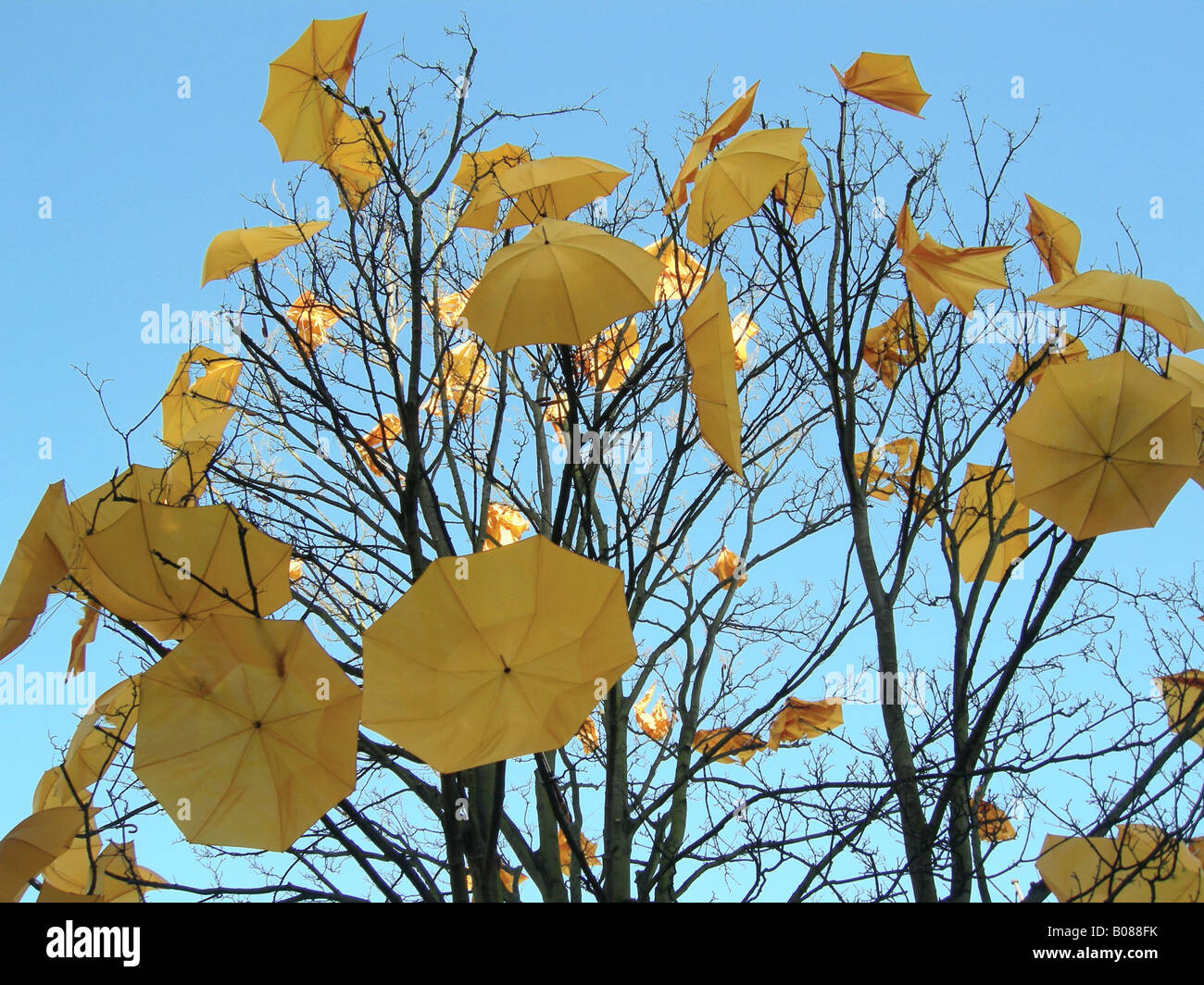 Parapluie jaune en arbre, Wapping Power Station Banque D'Images