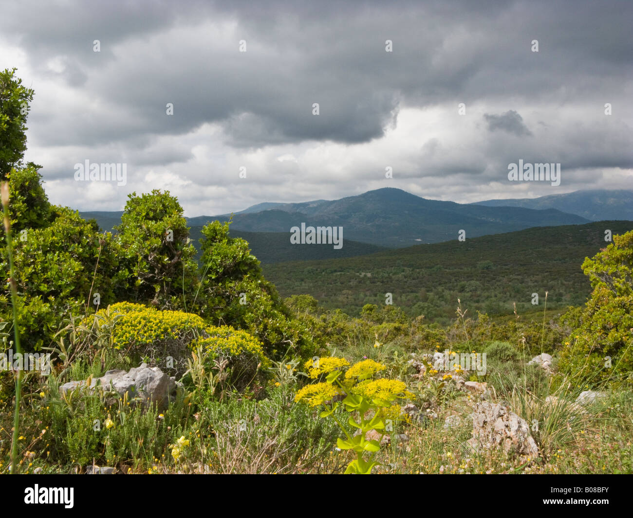 Campagne entre Sparte et Lenina, Lakonia province, Péloponnèse, Grèce Banque D'Images
