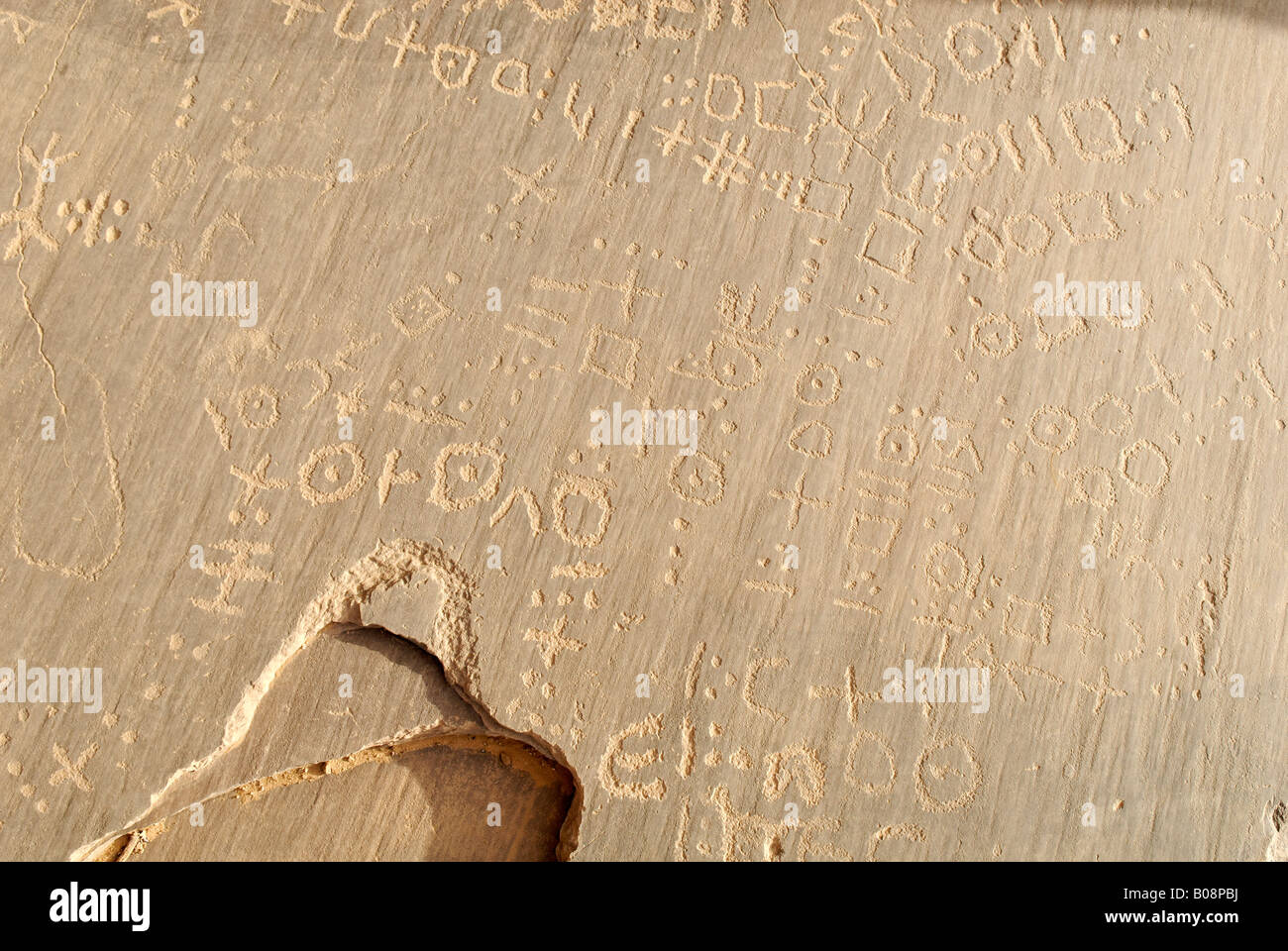 Tifinagh touareg (script) sur des pierres et des pictogrammes, Youf Ahakit, Tassili du Hoggar, Wilaya Tamanrasset, Algérie, Afrique du Nord Banque D'Images