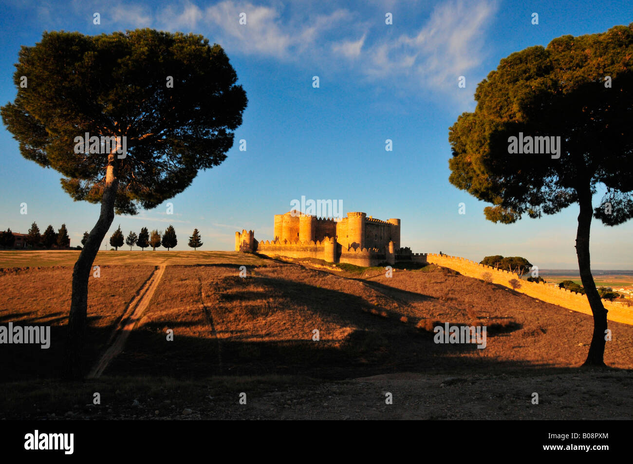 Les champs d'herbe sèche qui entoure le château Castillo de Belmonte dans la lumière chaude soirée vue entre deux arbres, Belmonte, Castilla-La Banque D'Images