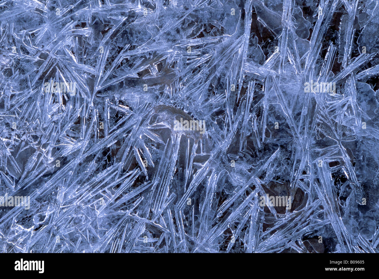 Formations de cristaux de glace, Inn, Schwaz, Tyrol, Autriche, Europe Banque D'Images