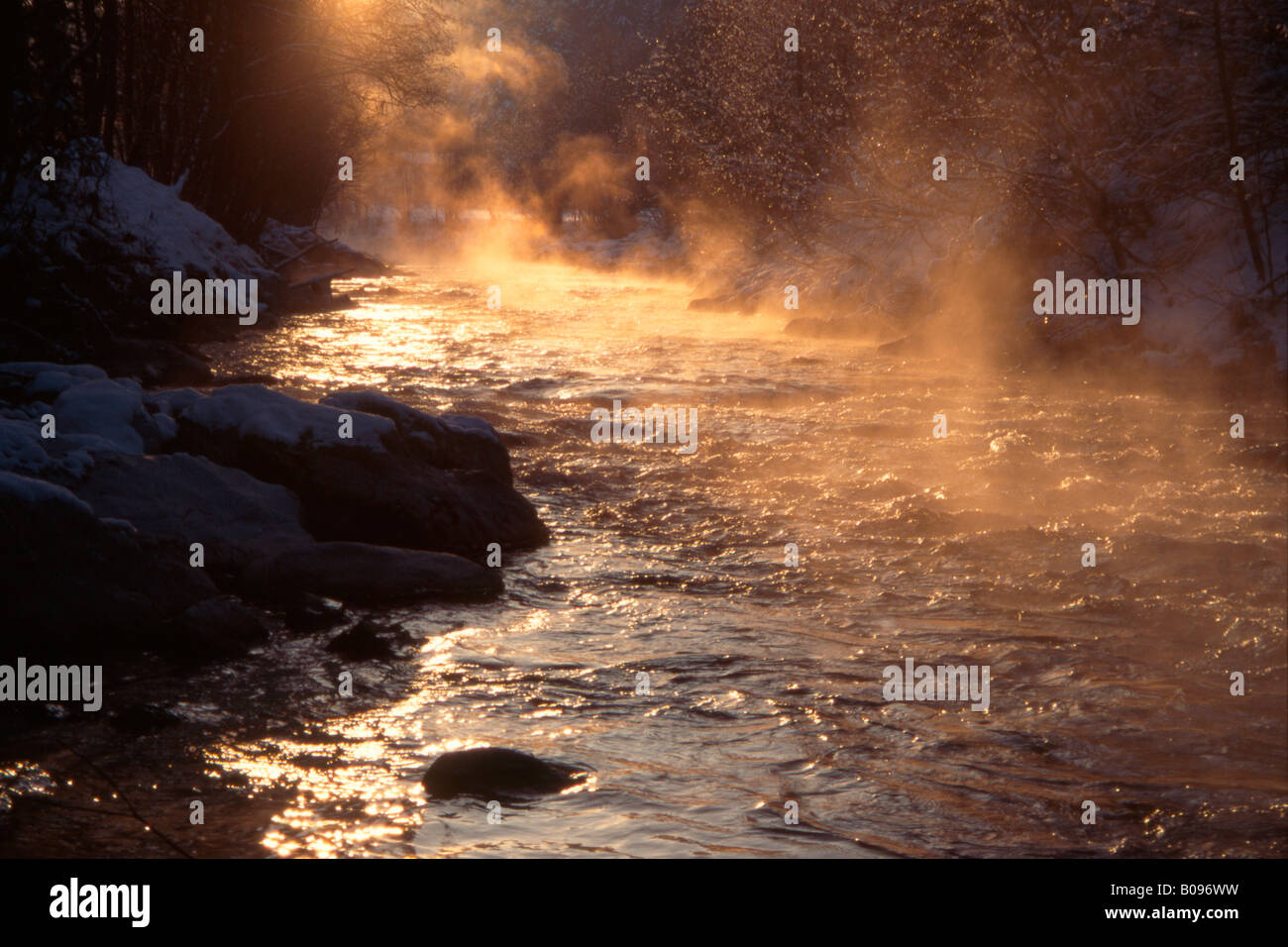 Mist rising à partir d'un flux in Tirol, Autriche Banque D'Images