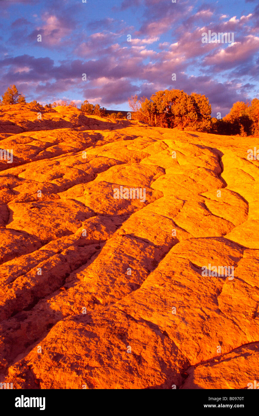 Les roches rouges à Dinosaur National Monument, Utah, USA Banque D'Images