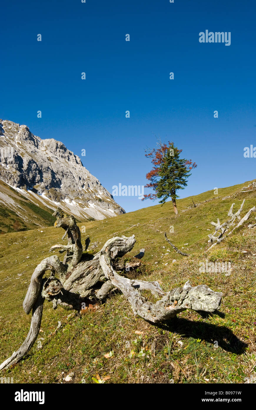 Grasslegerbichl (près de la Karwendelhaus), Gamme de Karwendel, Tirol, Autriche Banque D'Images