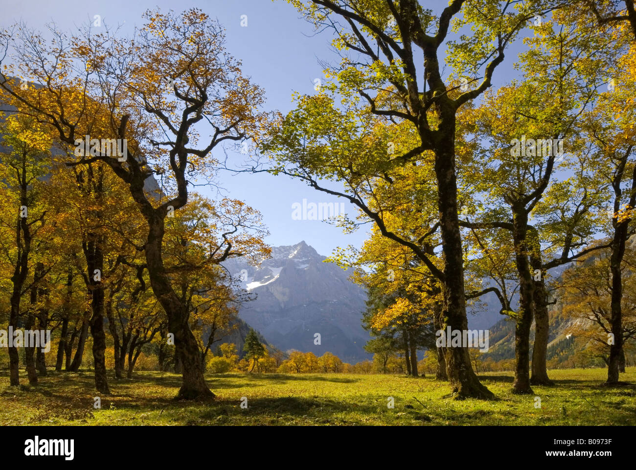 Grosser Ahornboden, gamme de Karwendel, Tyrol, Autriche, Europe Banque D'Images