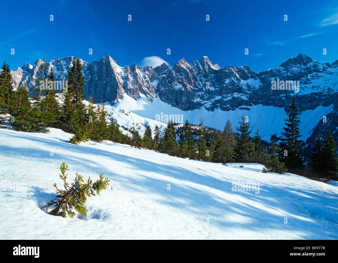 Laliderer Waende rock face, gamme de Karwendel, Tirol, Autriche Banque D'Images
