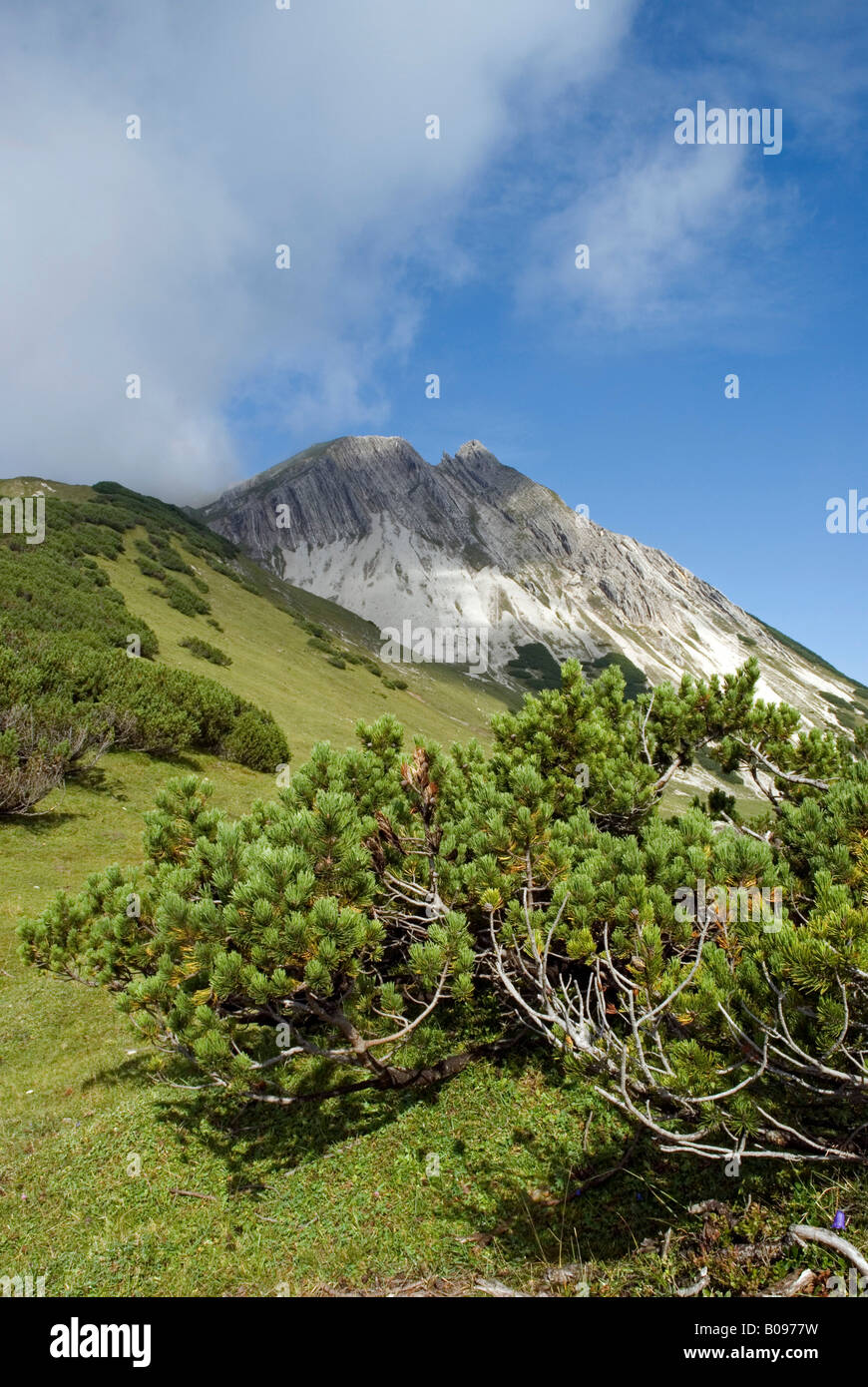 Mt. Mondscheinspitze, gamme de Karwendel, Tirol, Autriche Banque D'Images