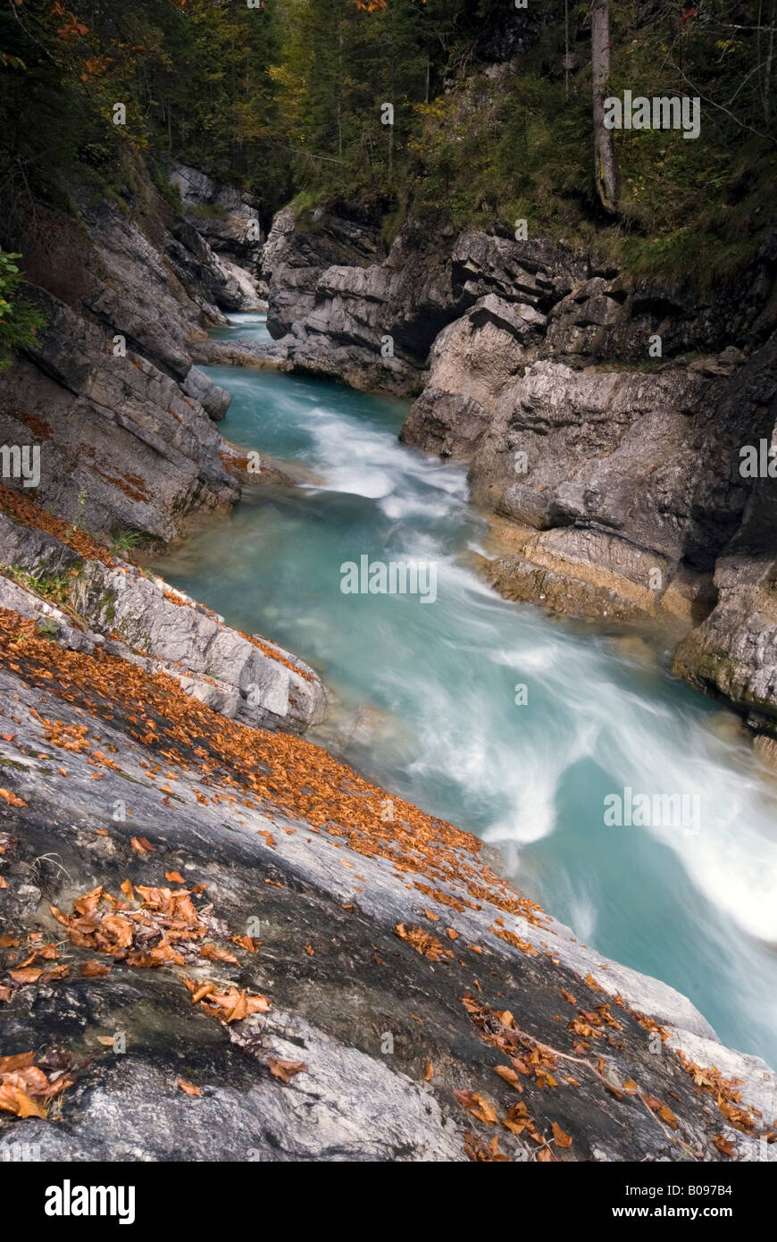 Rivière Rissbach en automne, gamme de Karwendel, Tirol, Autriche Banque D'Images