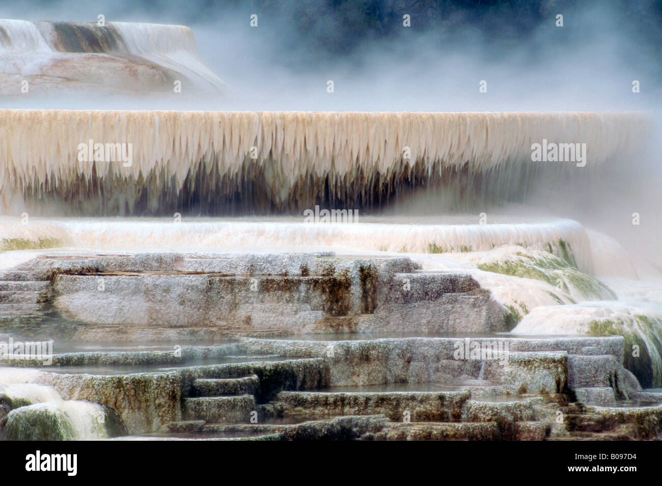 En terrasse suspendue au-dessus de la vapeur les gisements minéraux des Mammoth Hot Springs, Parc National de Yellowstone, Wyoming, USA Banque D'Images