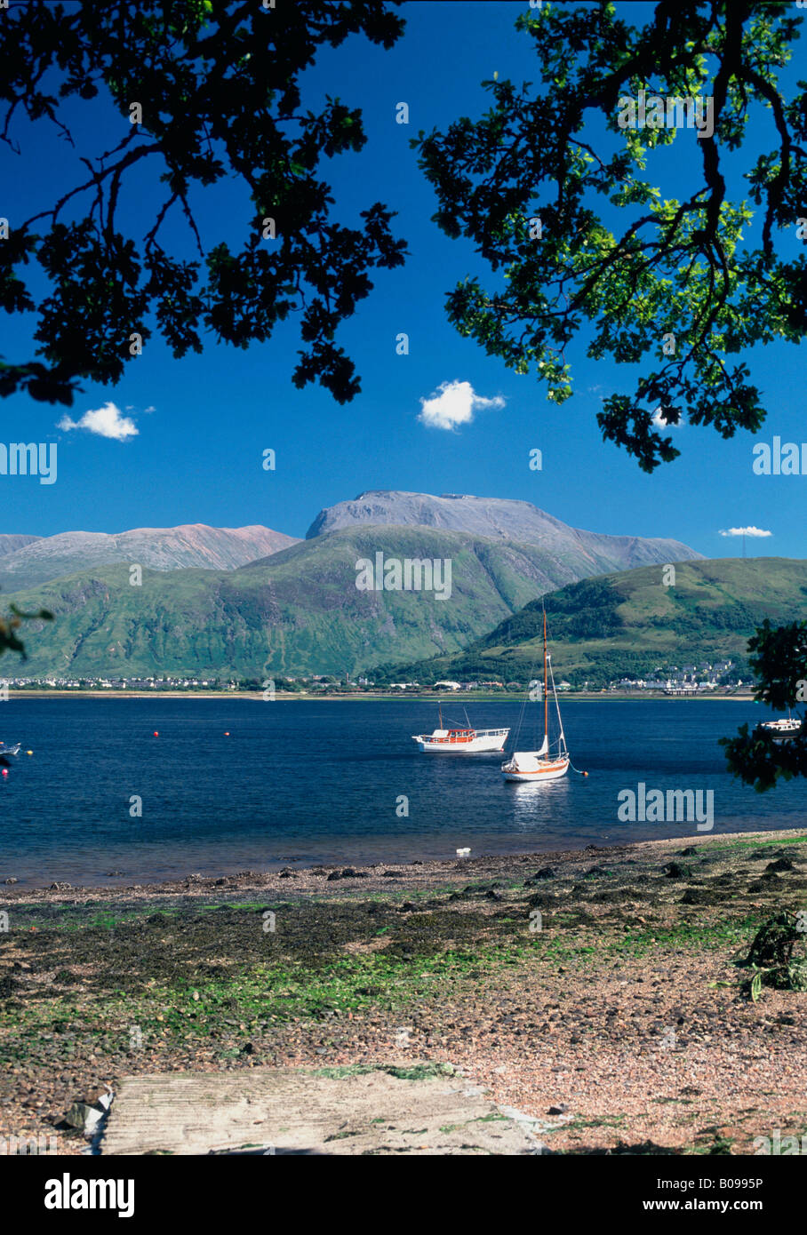 Le Ben Nevis, Fort William, Écosse, Royaume-Uni, Lochaber Banque D'Images