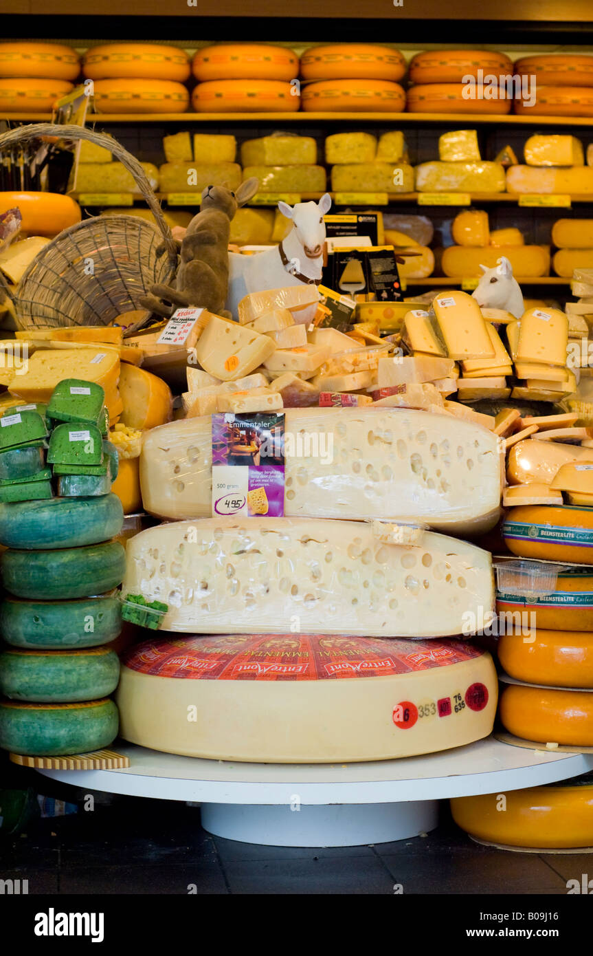 Amsterdam, variété de fromages affiche dans une vitrine sur Haarlemmerstraat Banque D'Images