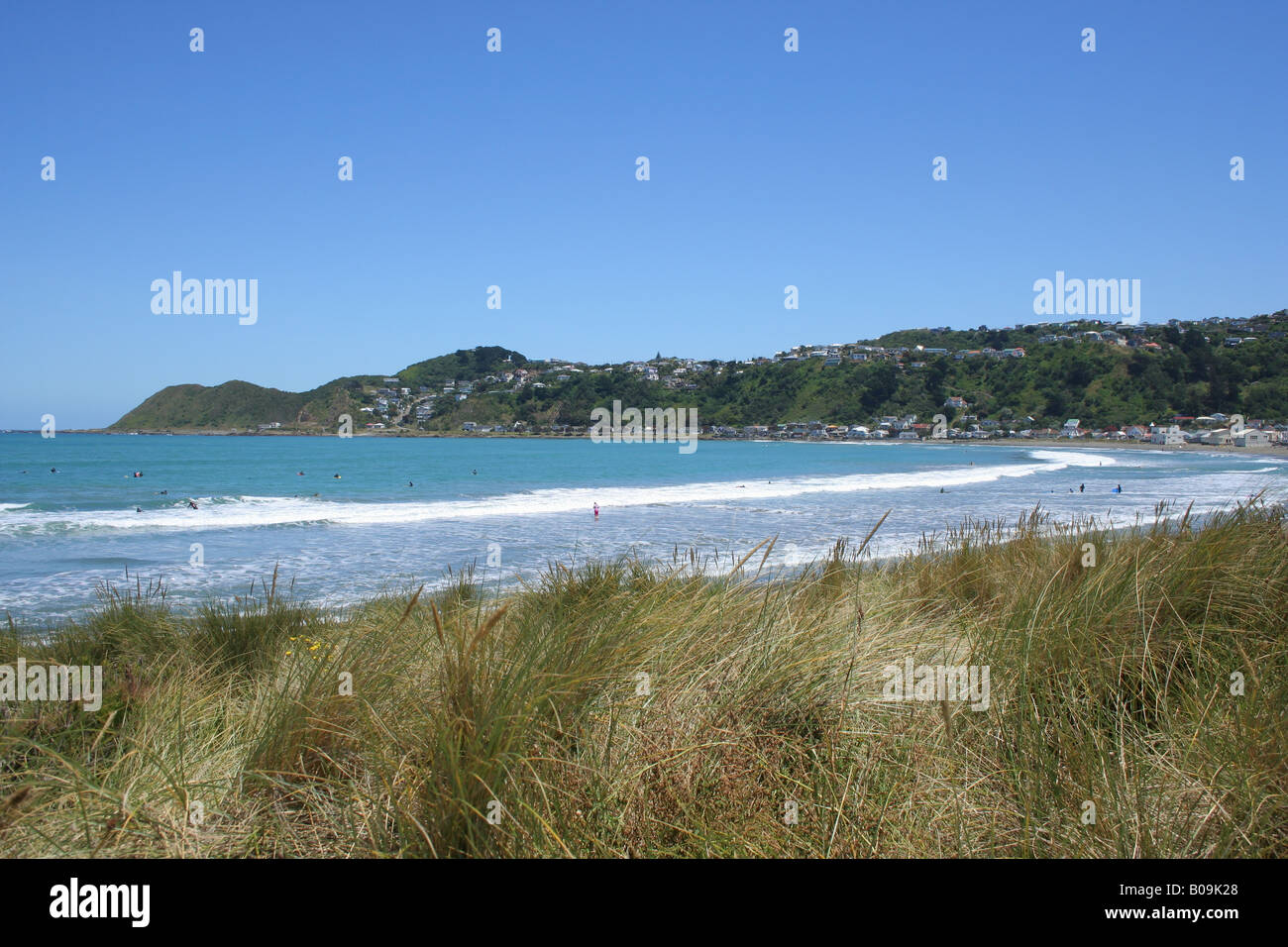 Plage paysage à Lyall bay, Wellington, Nouvelle-Zélande Banque D'Images