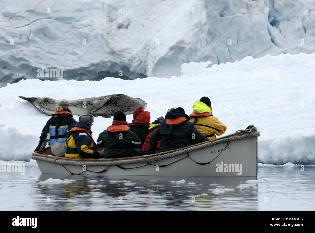 Phoque de Weddell (Leptonychotes weddelli), bateau de touristes regardant un joint de Wedell, Antarctique Banque D'Images